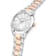 MONTRE SECTOR 220 - R3253588520