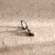 BOUCLE D&rsquo;OREILLE MONO SECTOR BASIC - SZS177